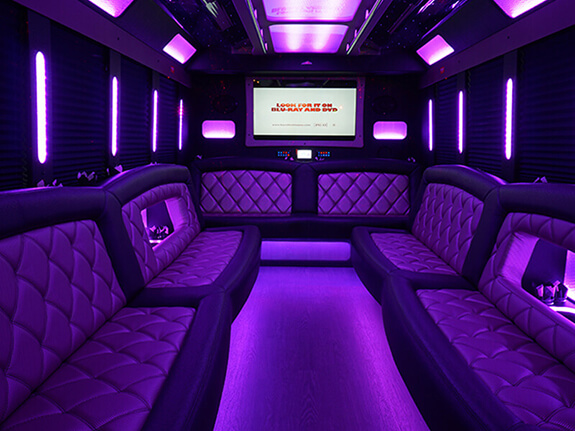 30 passenger party bus